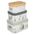 Juego de 3 cajas de almacenaje Foret