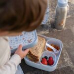 Caja Bento Campus grande Forest friends - Imagen 2