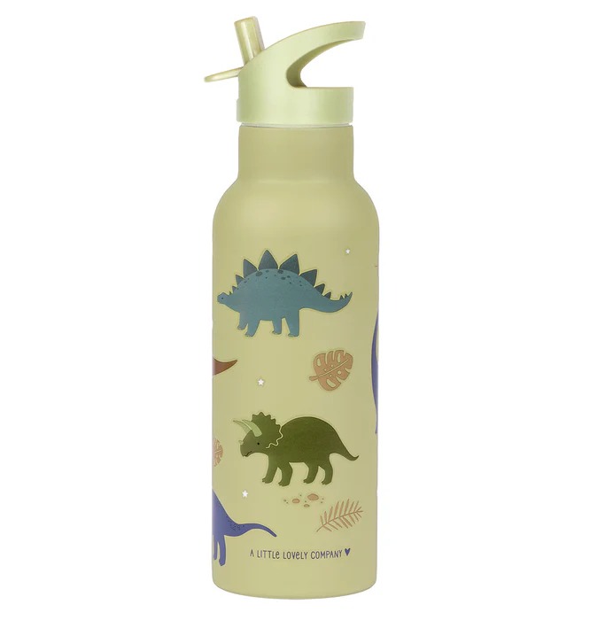 imgi_139_DBSXDI75-LR-1-SS-XL-drink-bottle-Dinosaurs Botella Infantil de Acero Inoxidable XL Dinosaurios - A Little Lovely Company - Imagen 1